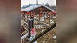 Chengdu Snow Village explained that the fake snow was used because warmer-than-expected weather during the Lunar New Year prevented natural snowfall.